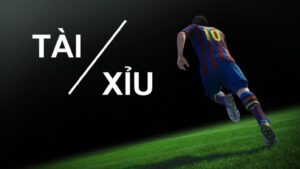 Cách xem kèo tài xỉu bóng đá - Hướng dẫn chuẩn từ chuyên gia